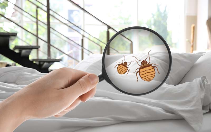 carpet cleaning in Staten Island, carpet cleaner in Staten Island, carpet cleaners in Staten Island, carpet cleaners in Staten Island, drapery cleaners in Staten Island, carpet cleaning in Staten Island, mattress cleaning in Staten Island, mattress cleaners in Staten Island, commercial carpet cleaning, commercial carpet cleaners in Staten Island, Staten Island rug cleaners, rug cleaning services in Staten Island same day carpet cleaning, same day rug cleaning